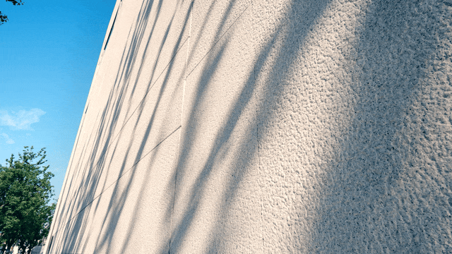 玩转东岸!浦东新区、临港春节重点文旅活动臻选