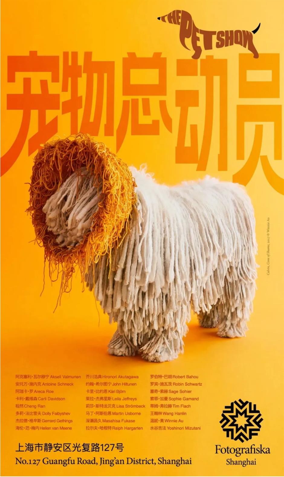 漫步城区!市中心各区春节重点文旅活动臻选