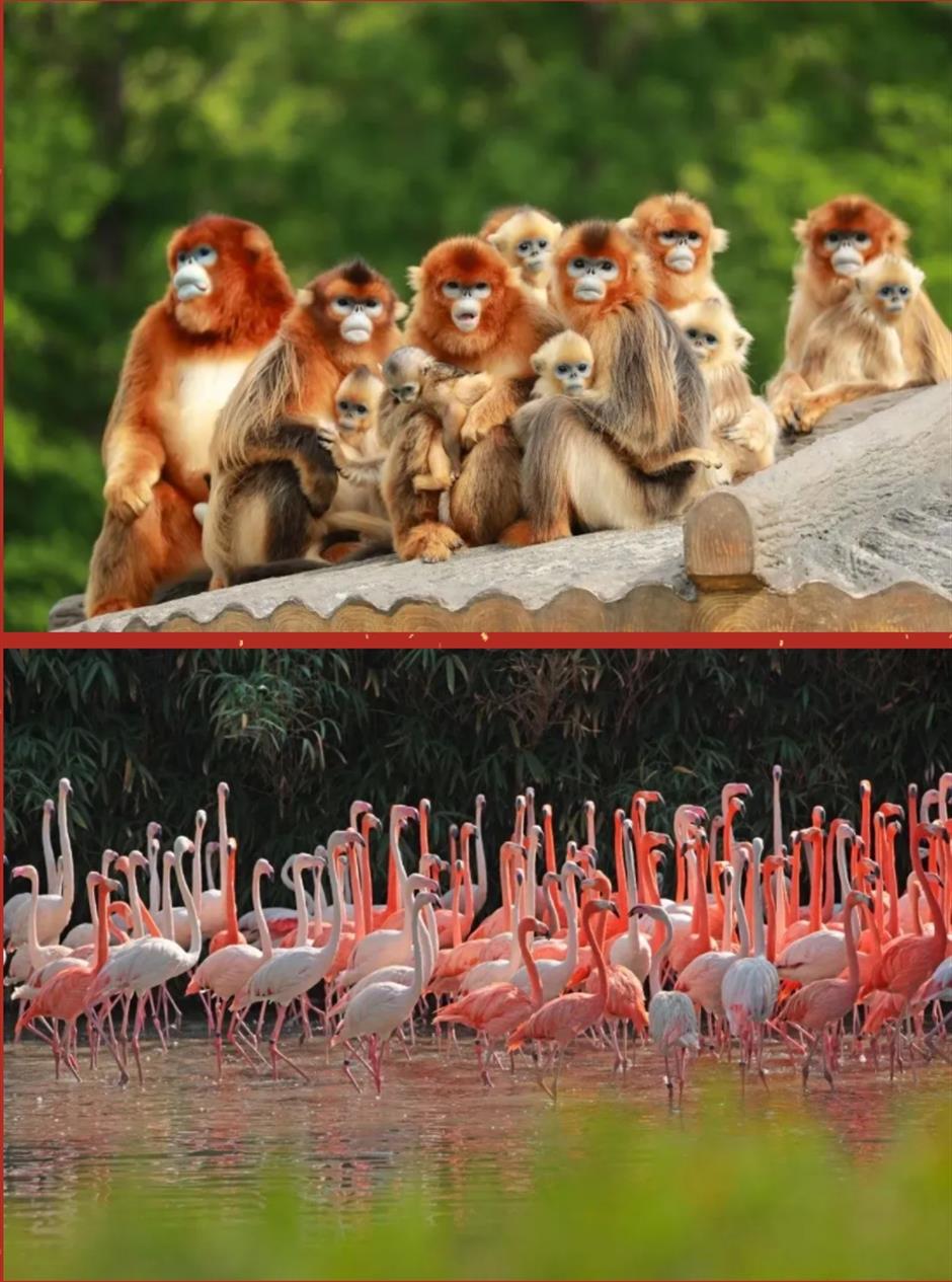 在上海過年?試試這7條線路一次性拿捏