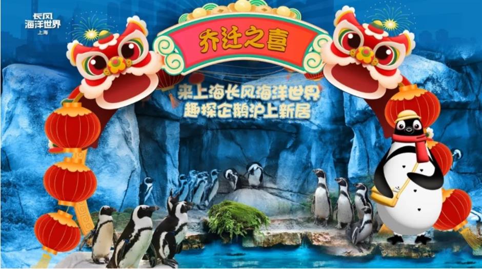 漫步城区!市中心各区春节重点文旅活动臻选