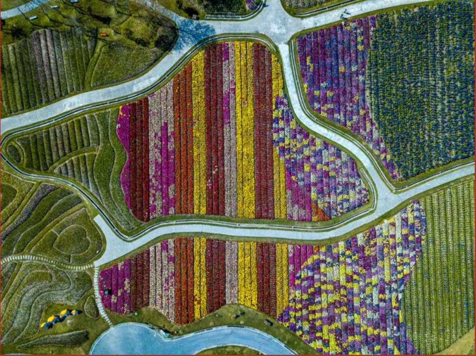 在上海過年?試試這7條線路一次性拿捏