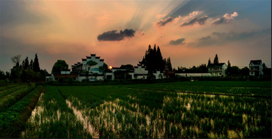 過年玩轉金山!六條新春遊玩線路等你來→