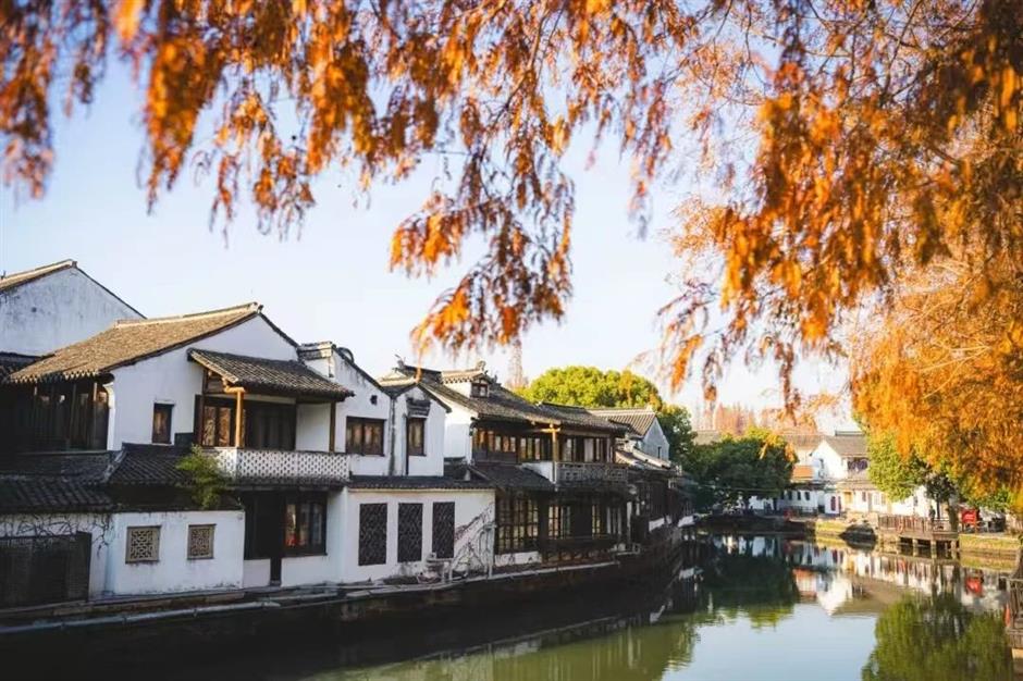 赏灯游园!市郊各区春节重点文旅活动臻选