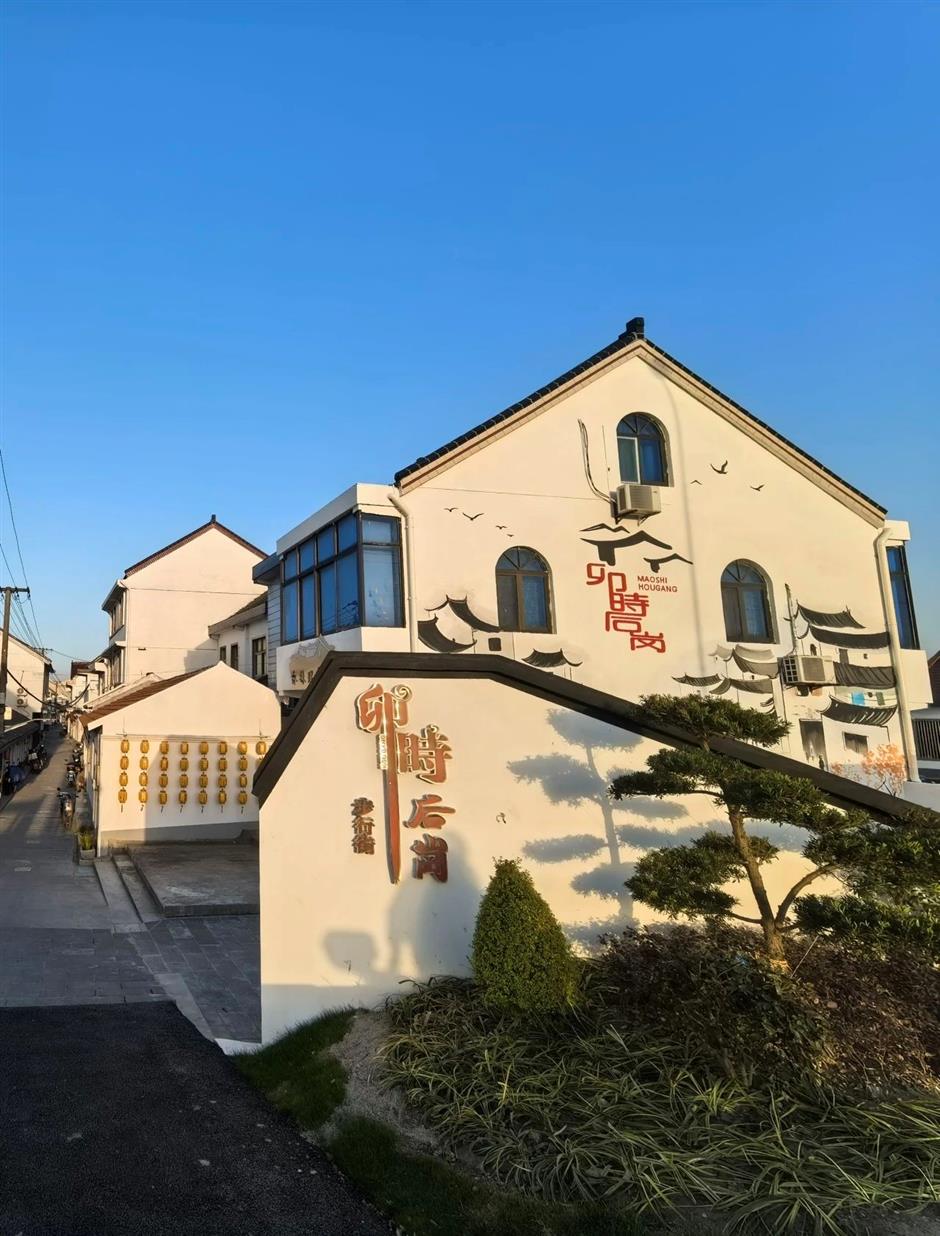 過年玩轉金山!六條新春遊玩線路等你來→