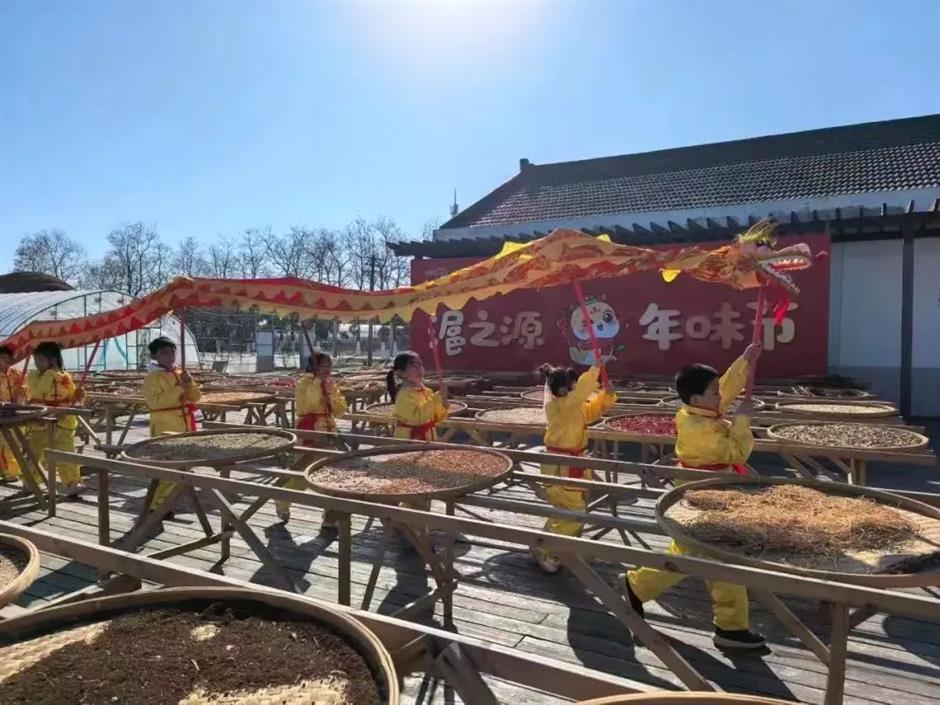 過年玩轉金山!六條新春遊玩線路等你來→