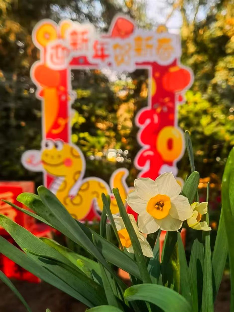 魔都新春玩法持续升级!