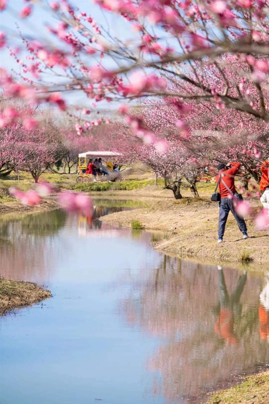 Seize the tail of the holiday and take a healing trip in the suburbs of Shanghai.