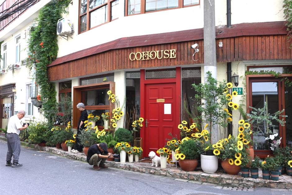 免费拍出电影感大片、超多网红小店!就在上海市中心这个街区→