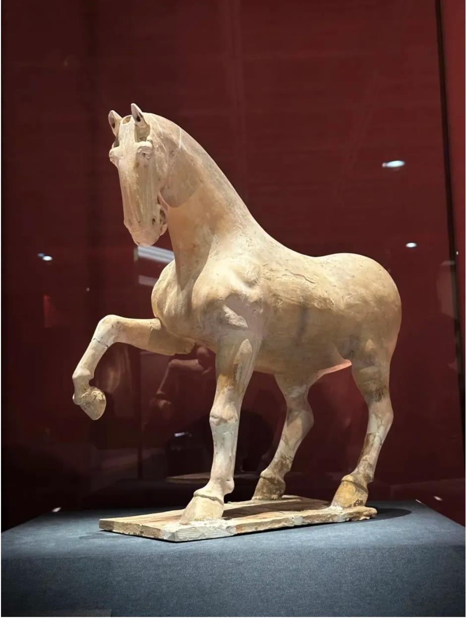 免费大展!网红博物馆又上新了