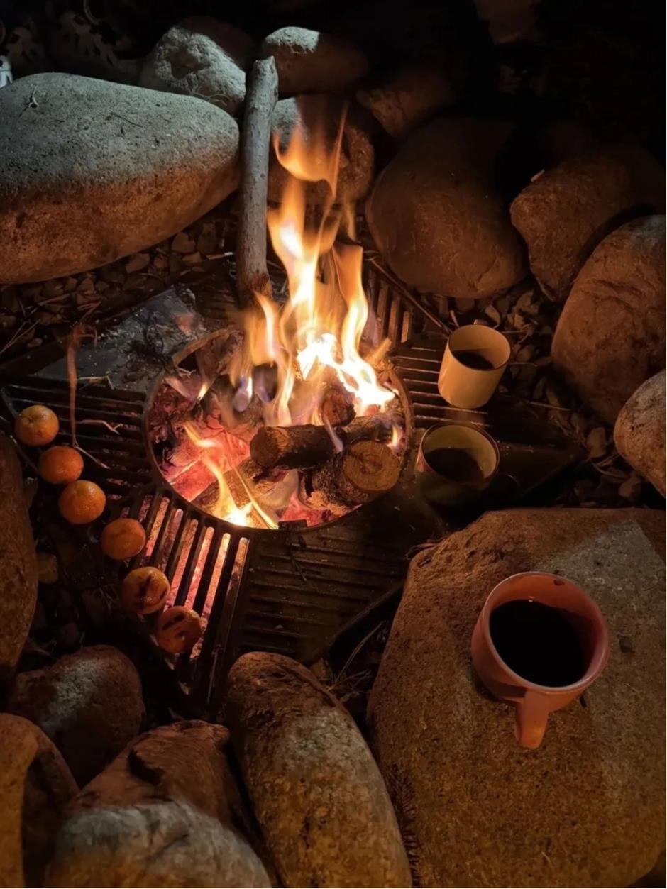 不出正月都是年!魔都网红村升级,这不打烊的浓浓烟火气
