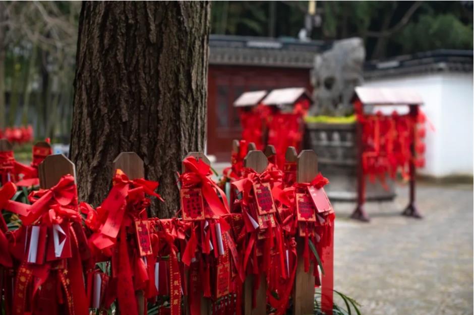 Check out these free flower lantern viewing in this classical garden in Shanghai.