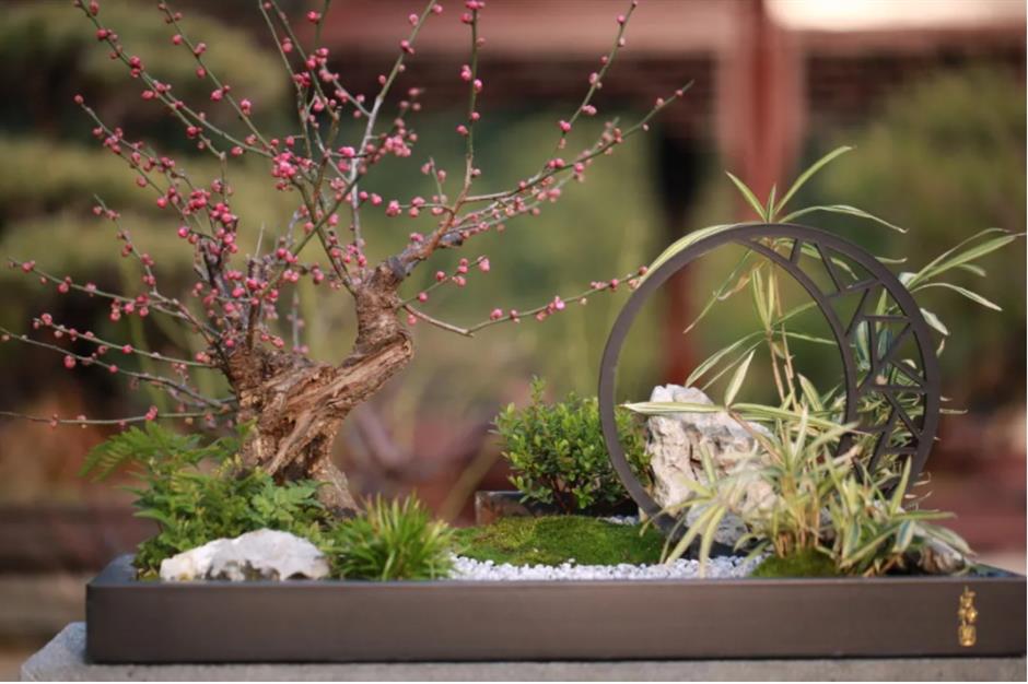 Check out these free flower lantern viewing in this classical garden in Shanghai.