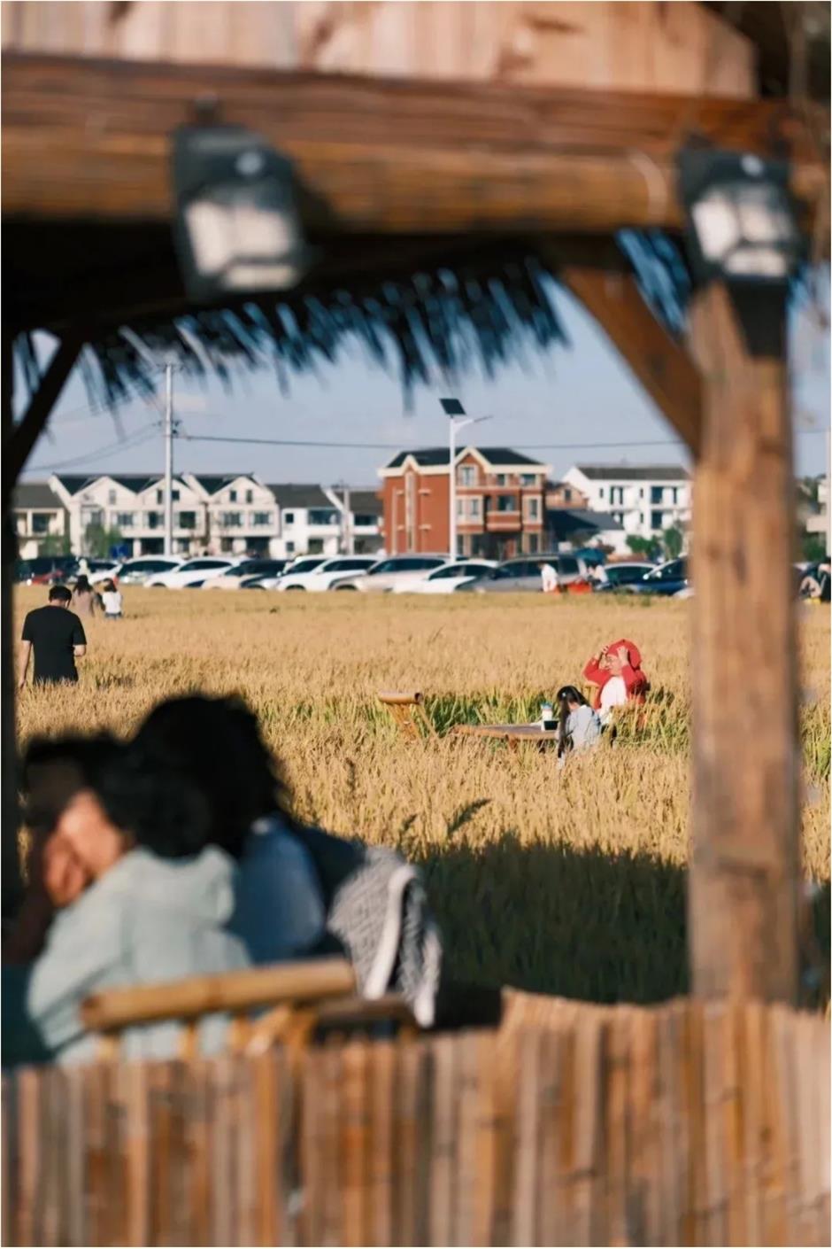 不出正月都是年!魔都网红村升级,这不打烊的浓浓烟火气