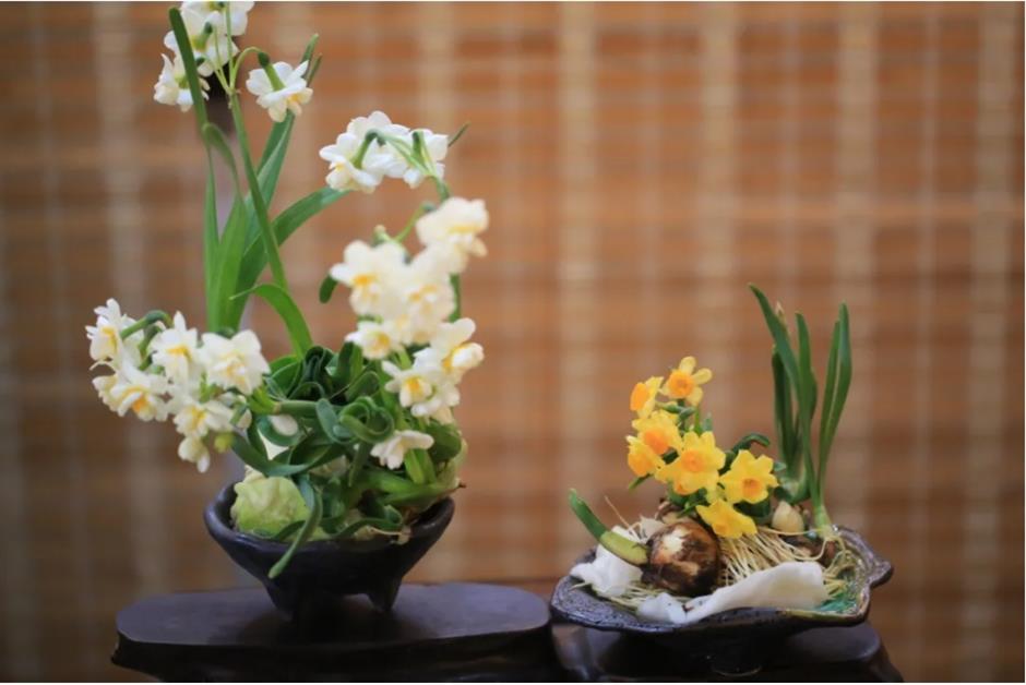 Check out these free flower lantern viewing in this classical garden in Shanghai.