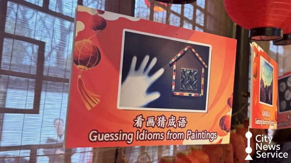 A global affair as Lantern Festival celebrations light up Jiading old street