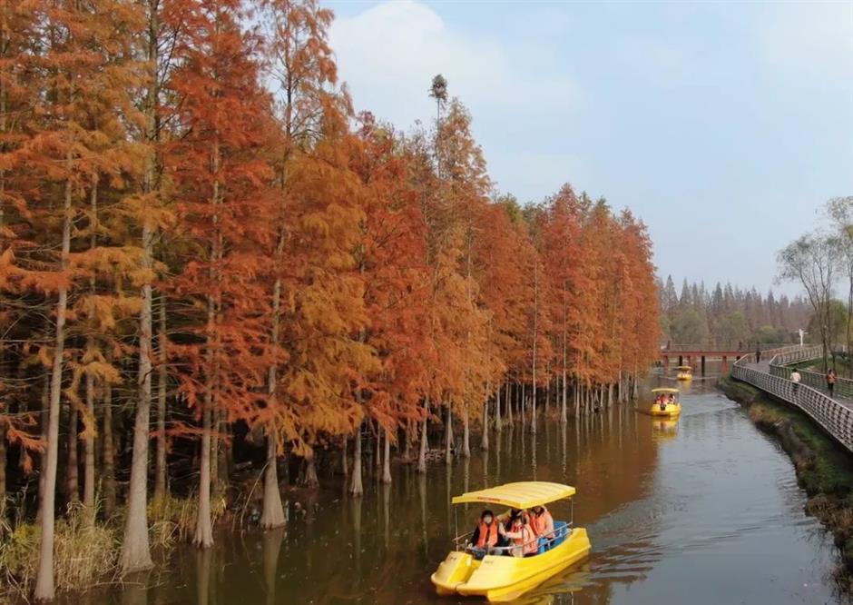 错峰出游!这些好去处适合带娃去