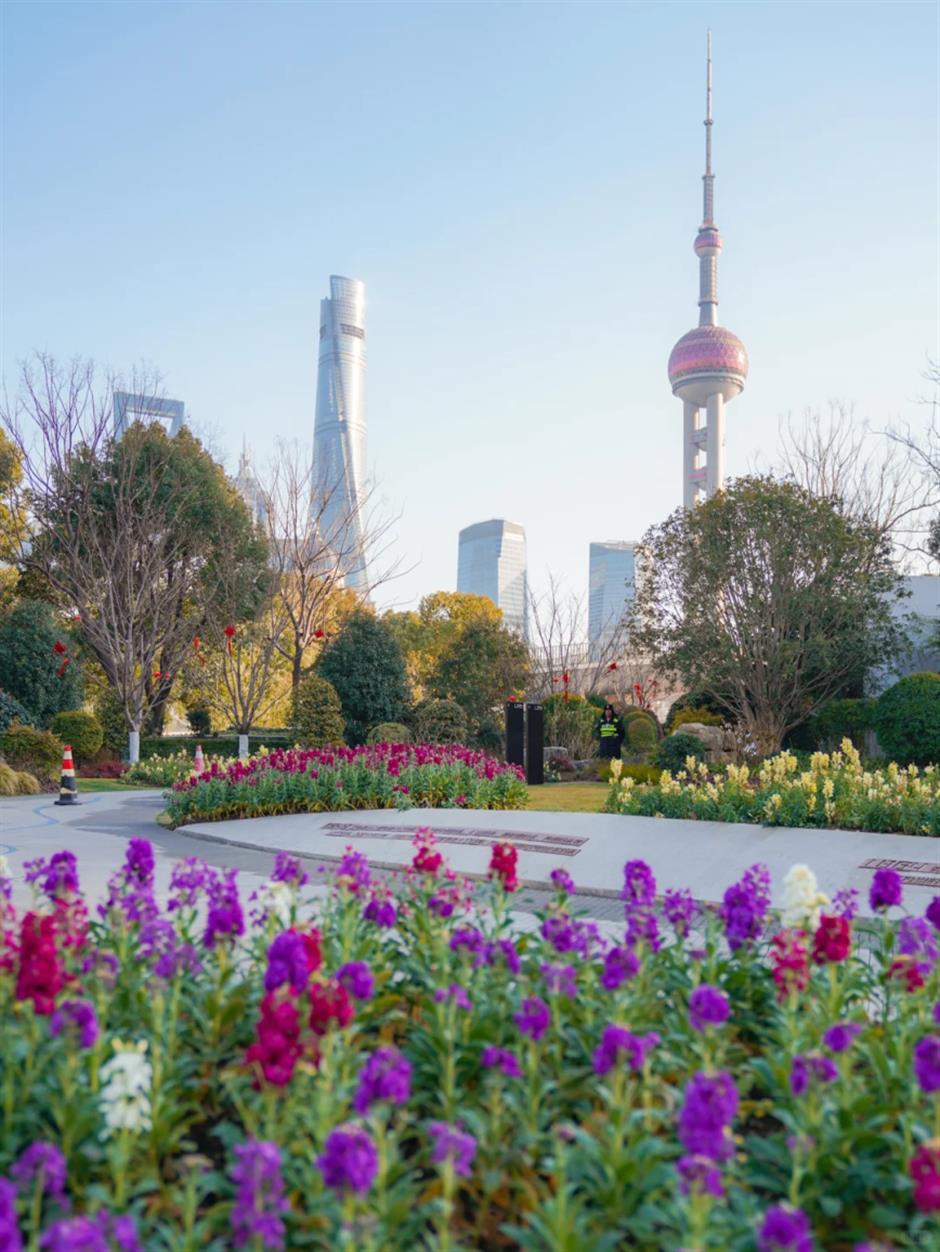 坐标北外滩!绝美紫罗兰花海开启魔都春日色彩盛宴→