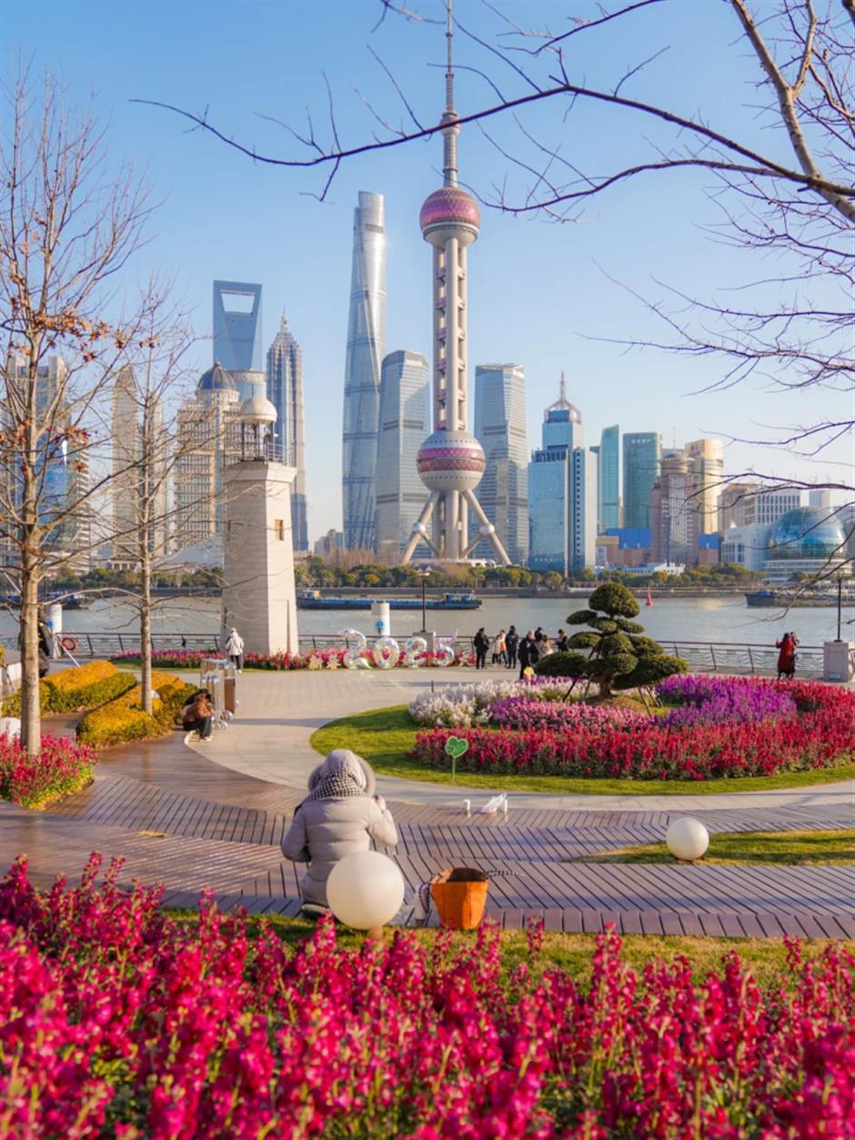 坐标北外滩!绝美紫罗兰花海开启魔都春日色彩盛宴→