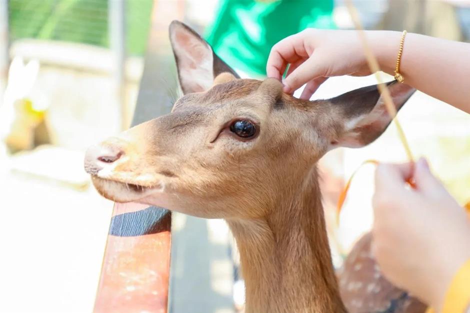 错峰出游!这些好去处适合带娃去