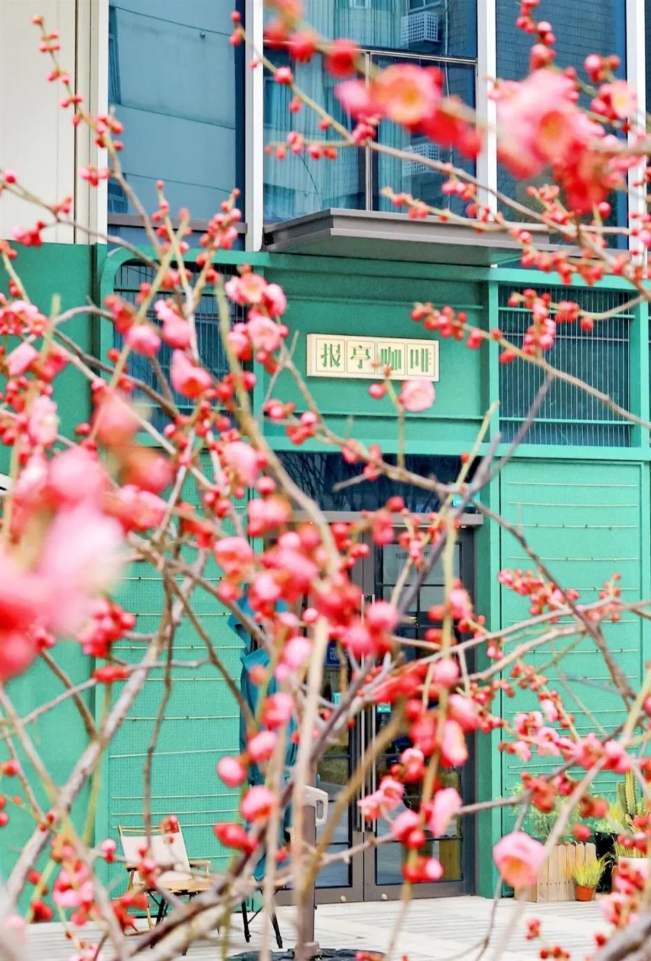 人少景美超文艺!去这条限定Citywalk线路看展+喝咖啡+逛商场~