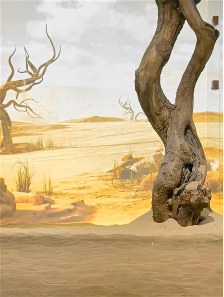 不敢相信!上海市中心竟然有一座「沙漠」!還能尋寶→