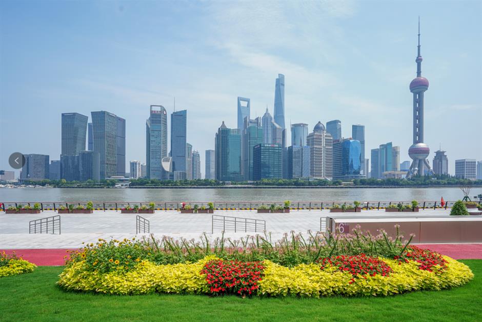 太美!虹口第一波春色,看这里!