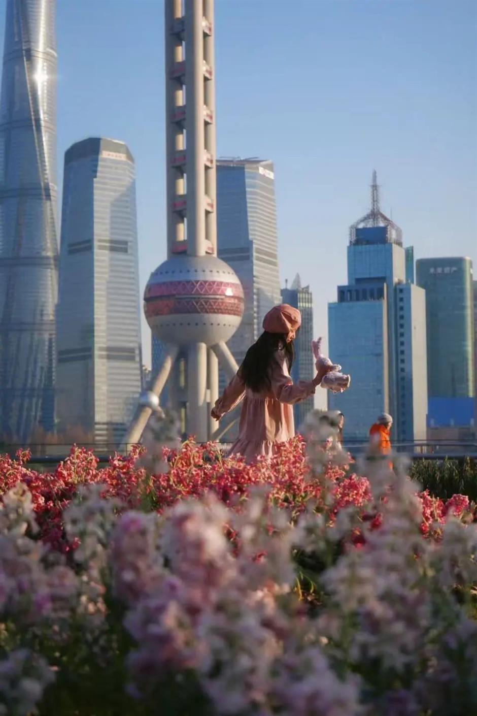 太美!虹口第一波春色,看这里!