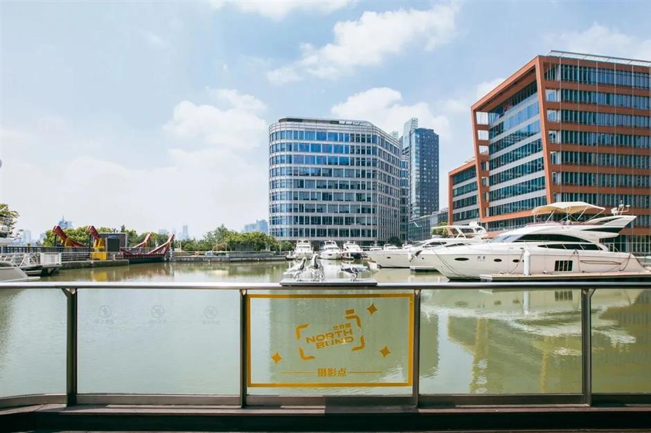 太美!虹口第一波春色,看这里!