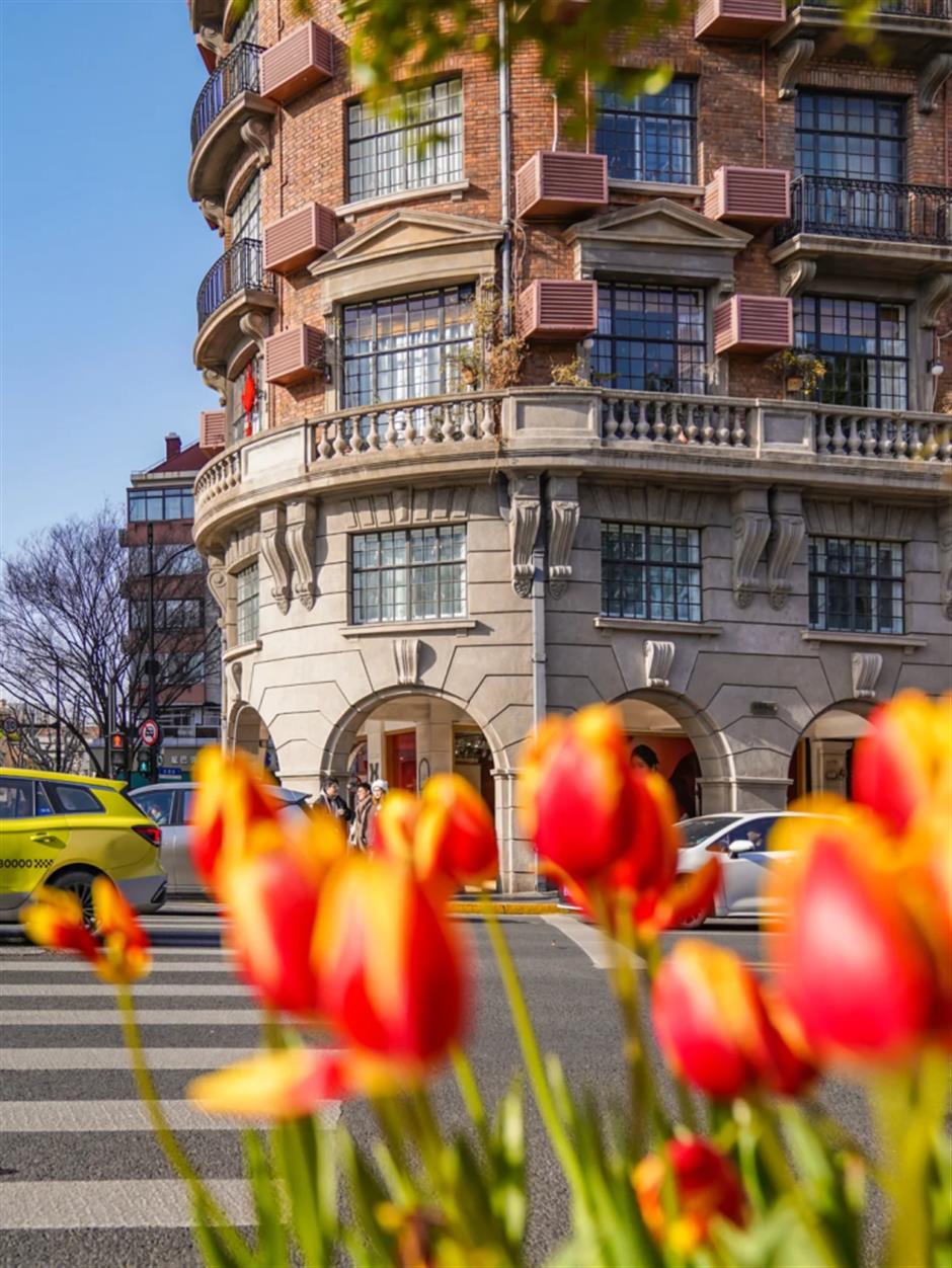 开好了!上海早春顶流浪漫上线!