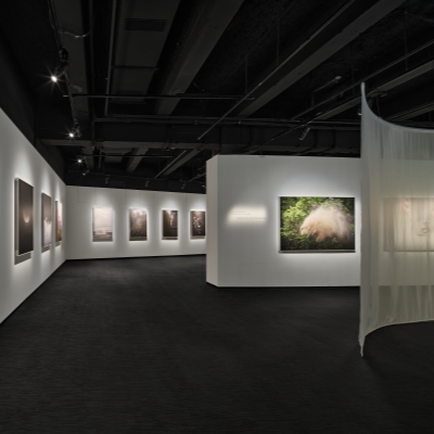 Exhibition a journey through life, time, and perception