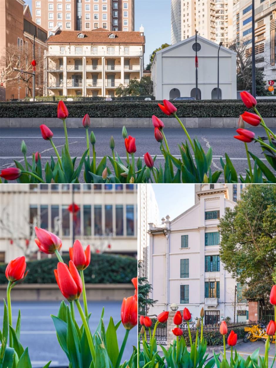 开好了!上海早春顶流浪漫上线!
