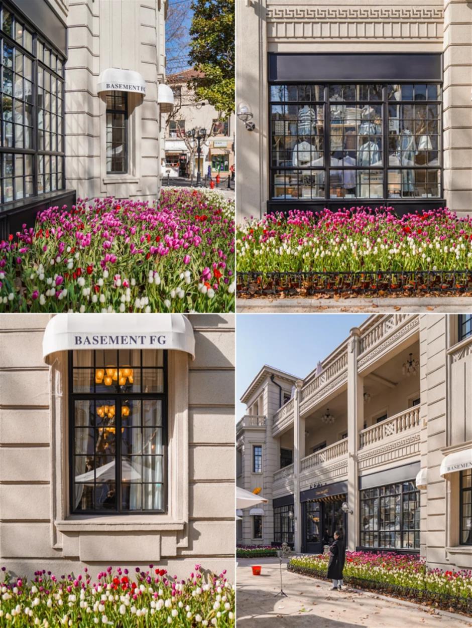 上海市中心的郁金香开好了!来这些地方免费打卡→