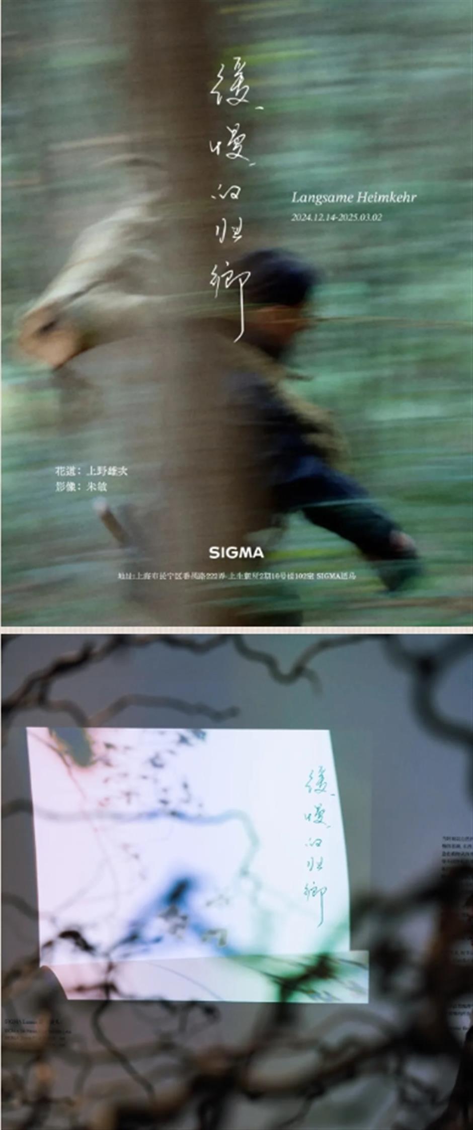 上新!跟随Q版地图,开启早春探展之旅