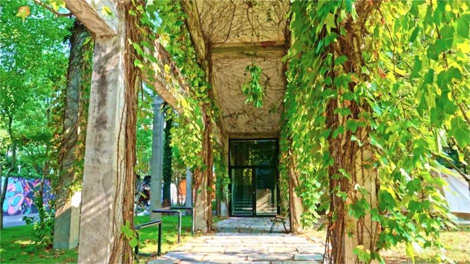 在上海,竟然藏著七處「綠野仙蹤」!