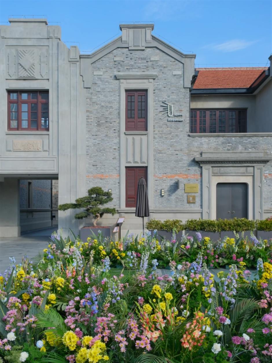 苏州河畔的花海再度盛放!绝美