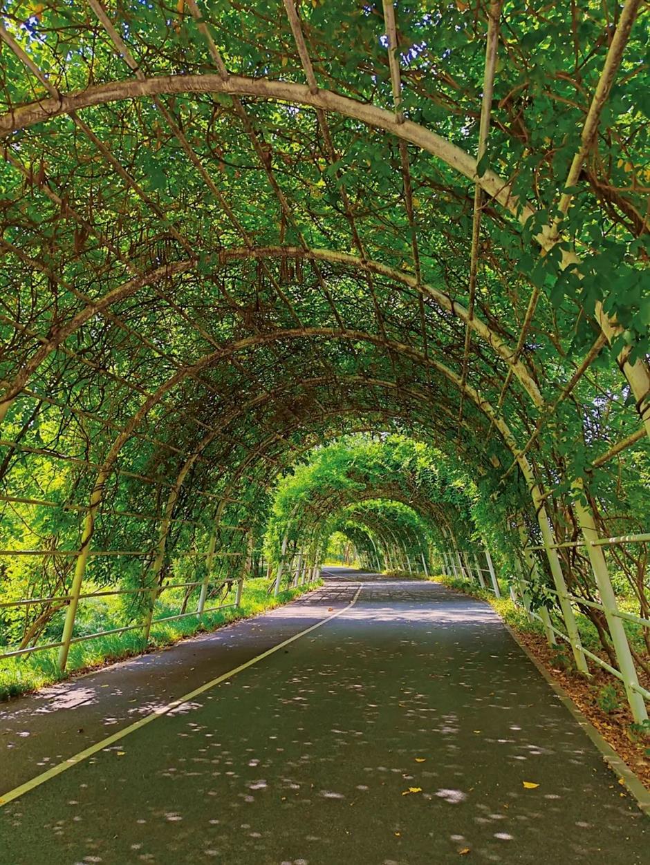 在上海,竟然藏著七處「綠野仙蹤」!