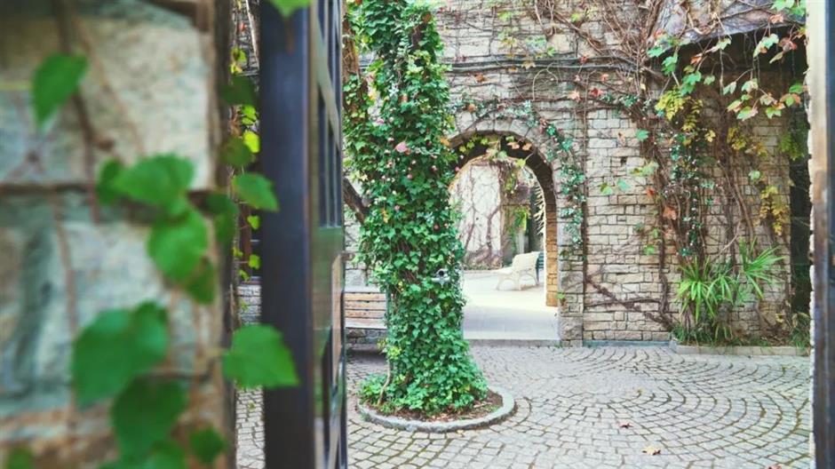 在上海,竟然藏著七處「綠野仙蹤」!