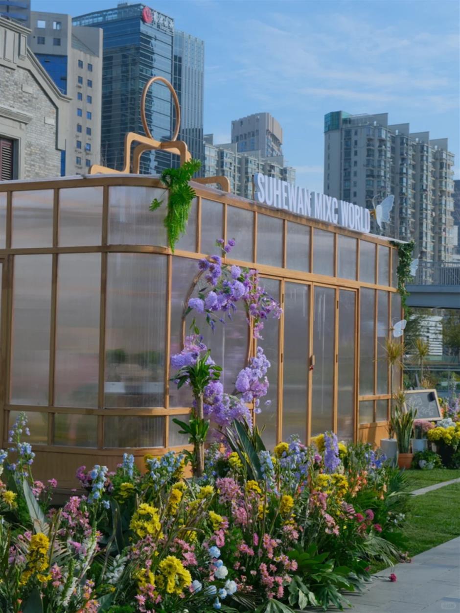 苏州河畔的花海再度盛放!绝美