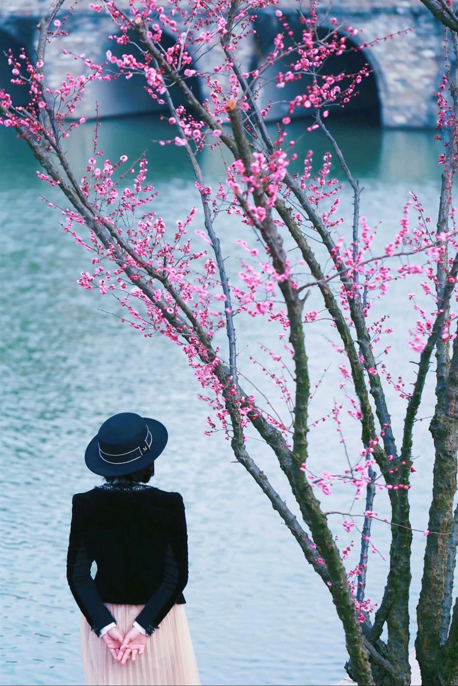 上海賞梅正當時!
一大波中式美學的震撼
