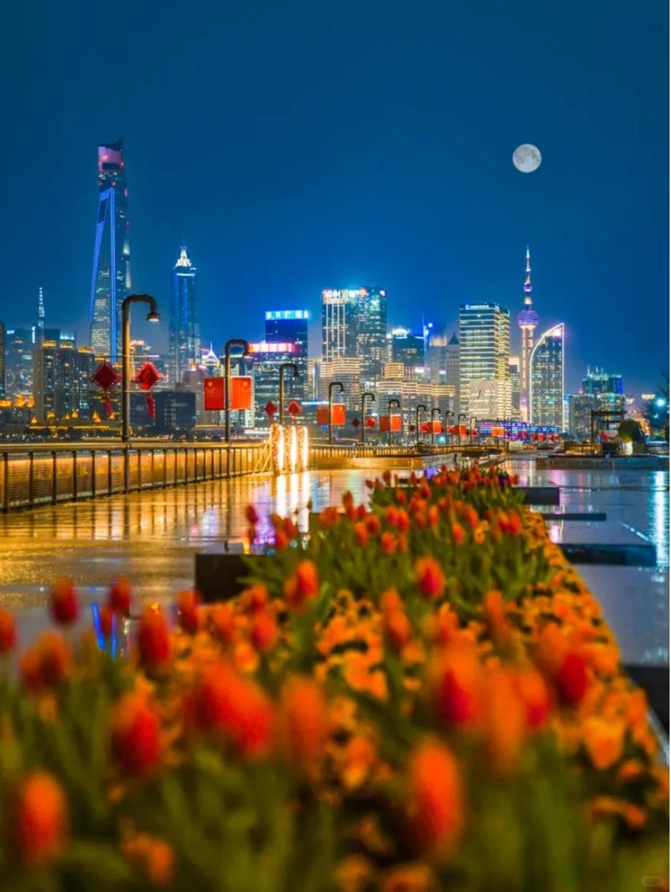 郁金香、水仙花、蔷薇花牆……人少景美的寶藏濱江太浪漫了!