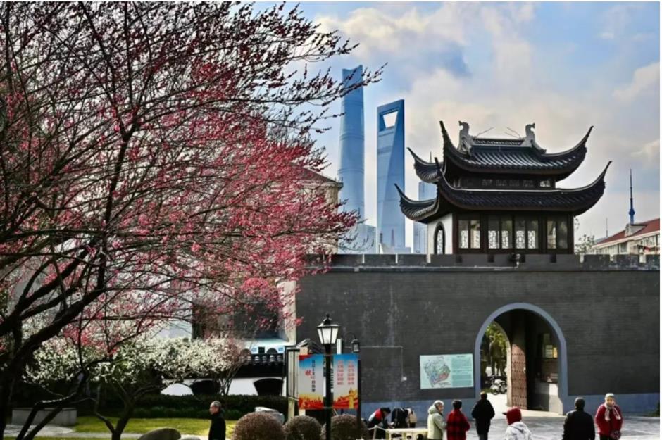 梅花、古建筑与魔都三件套同框!就在市中心这个免费公园