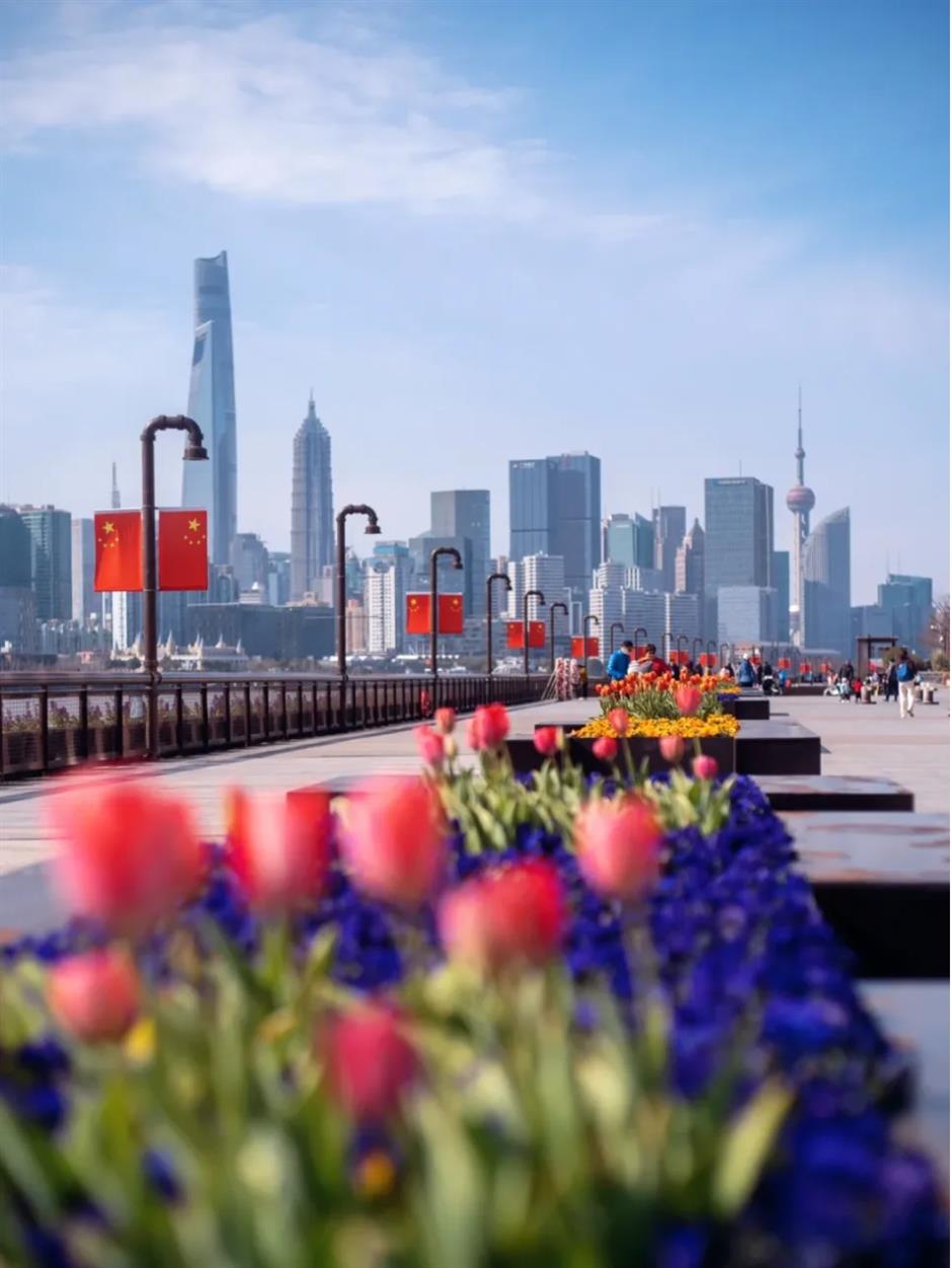 郁金香、水仙花、蔷薇花牆……人少景美的寶藏濱江太浪漫了!