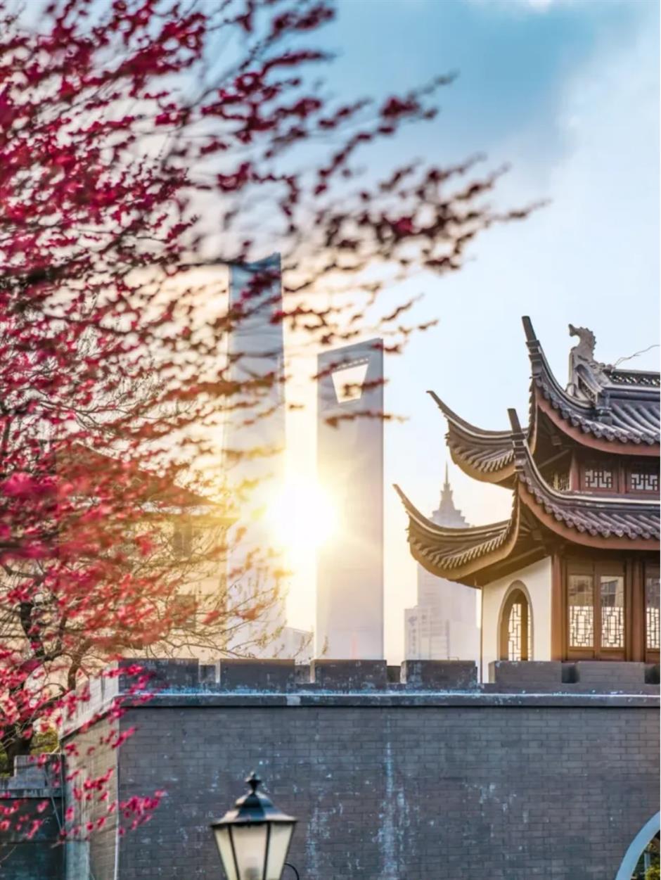 梅花、古建筑与魔都三件套同框!就在市中心这个免费公园