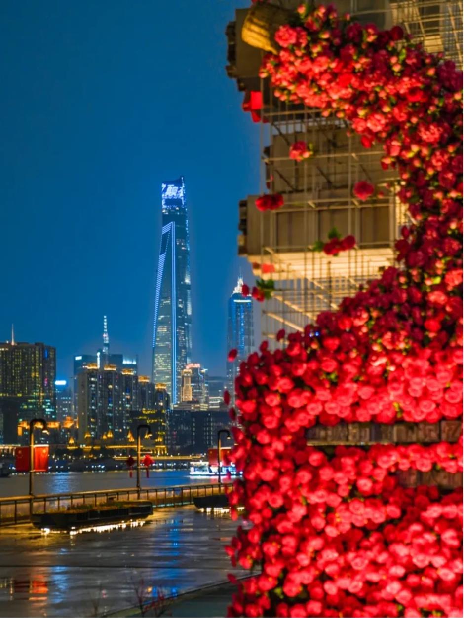 郁金香、水仙花、蔷薇花牆……人少景美的寶藏濱江太浪漫了!