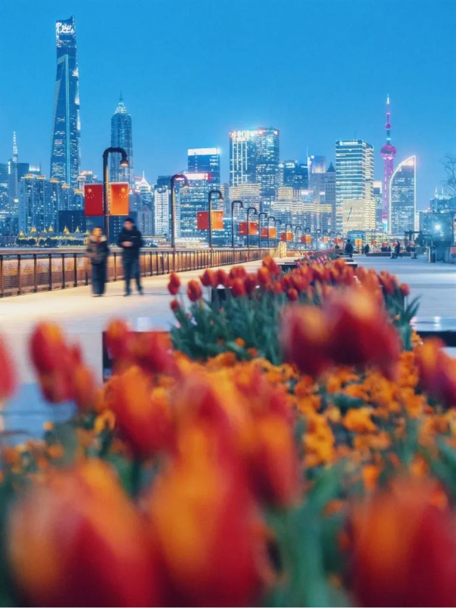郁金香、水仙花、蔷薇花牆……人少景美的寶藏濱江太浪漫了!