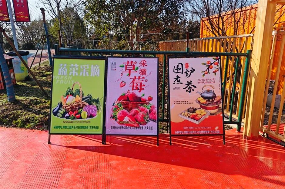 Profitez du printemps! Ce parc naturel est un océan de fleurs de prunier en pleine floraison.