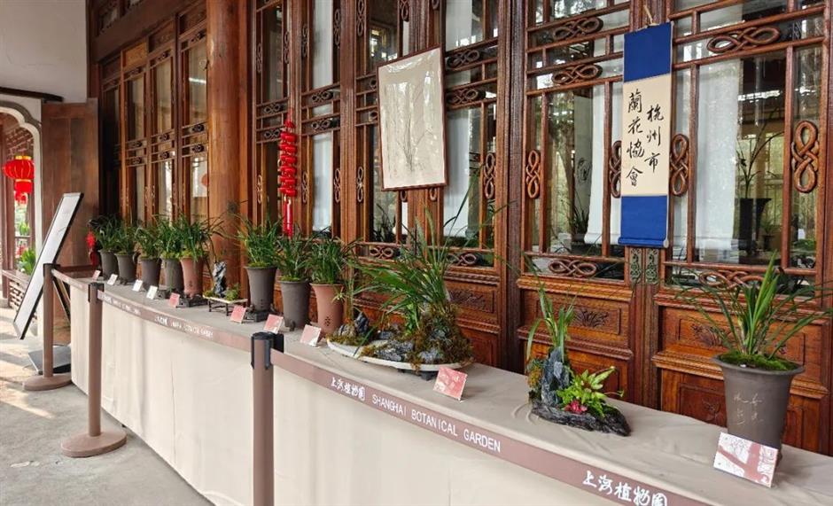 三大会场同开!上海这个展够雅