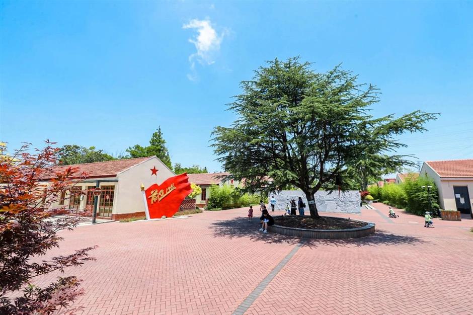 Profitez du printemps! Ce parc naturel est un océan de fleurs de prunier en pleine floraison.