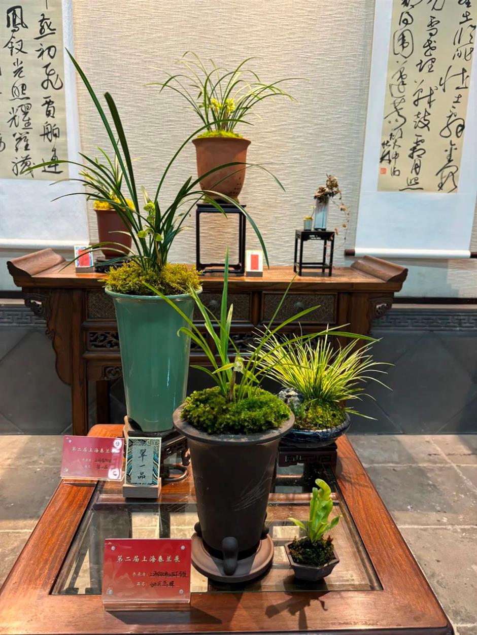 三大会场同开!上海这个展够雅