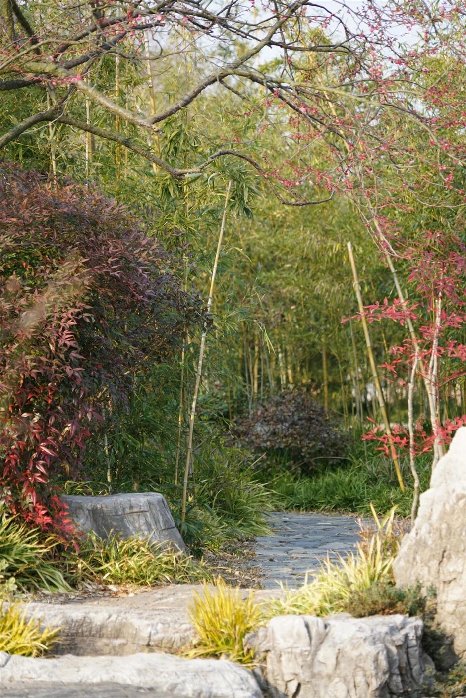 Profitez du printemps! Ce parc naturel est un océan de fleurs de prunier en pleine floraison.